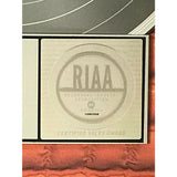 Garbage Version 2.0 RIAA Platinum Album Award - Record Award