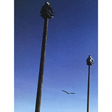 Gentlemen Without Weapons Transmissions Hipgnosis lithograph signed by Storm Thorgerson - Music Memorabilia