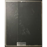 Great White Twice Shy RIAA Platinum Album Award