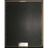Guns N’ Roses Appetite For Destruction RIAA Gold LP Award - Record Award