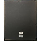 Guns N’ Roses Appetite For Destruction RIAA Platinum LP Award - Record Award