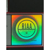 Guns N’ Roses GN’R Lies RIAA Platinum LP Award - Record Award