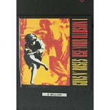 Guns N’ Roses Use Your Illusion I & II RIAA 3x Multi-Platinum Award - Record Award