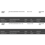 Guns N’ Roses Use Your Illusion I & II RIAA Gold Music Video Award - Record Award