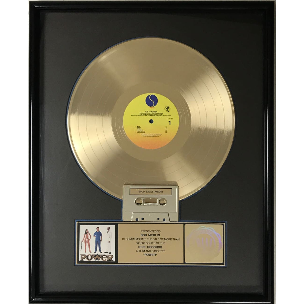 musicgoldmine.com - Ice-T Power RIAA Gold LP Award – MusicGoldmine.com