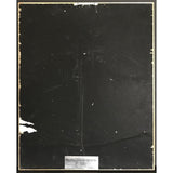 Ice-T Power RIAA Gold LP Award - Record Award