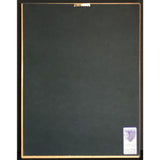 Ini Kamoze Here Comes The Hotstepper RIAA Gold Album Award