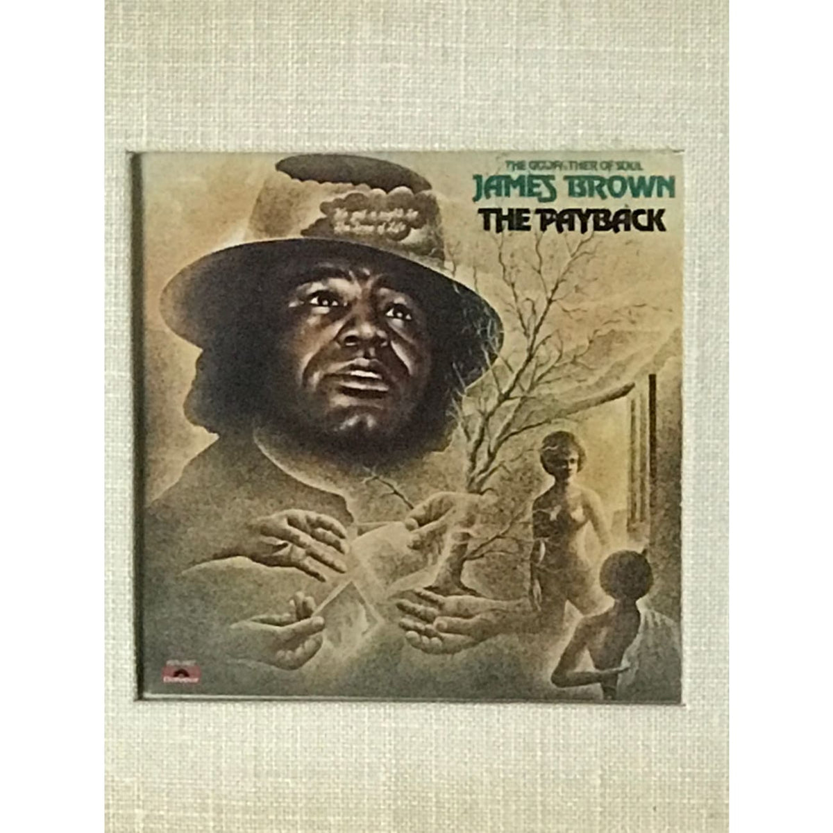 musicgoldmine.com - James Brown The Payback White Matte RIAA Gold