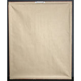 James Taylor JT RIAA Gold LP Award - Record Award