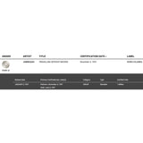 Jamiroquai Travelling Without Moving RIAA Gold Album Award - Record Award