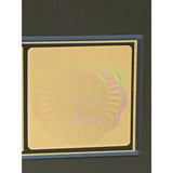 Jefferson Starship No Protection RIAA Gold LP Award - Record Award