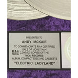 Jimi Hendrix Electric Ladyland RIAA 2x Multi-Platinum Award - Record Award