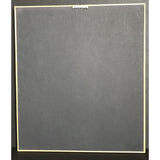 Joe Satriani Time Machine label award - Record Award