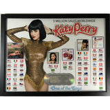 Katy Perry One Of The Boys RIAA Platinum Album 5M Worldwide Award - Record Award