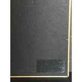 Kenny G Live RIAA Platinum Album Award - Record Award