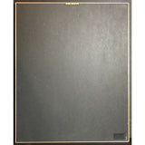 Kenny G Live RIAA Platinum Album Award - Record Award