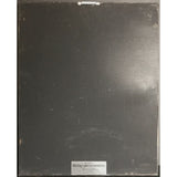 Kenny Rogers Eyes That See In The Dark RIAA Gold LP Award presented to Kenny Rogers - RARE - Record Award