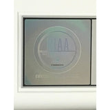 Kid Rock Born Free RIAA Platinum Award - Record Award