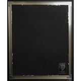 Kid Rock Devil Without A Cause RIAA 7x Multi-Platinum Award - Record Award