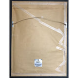 Korn Follow The Leader RIAA Platinum Album Award presented to Korn - RARE - Record Award