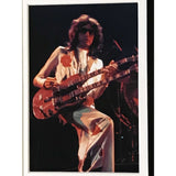 Led Zeppelin Handbill Memorabilia Collage
