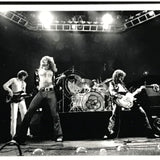 Led Zeppelin Handbill Memorabilia Collage