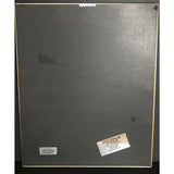 Led Zeppelin II RIAA Platinum LP Award - Record Award