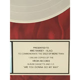 Lenny Kravitz Are You Gonna Go My Way RIAA Platinum Album Award - Record Award