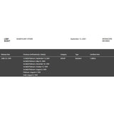 Limp Bizkit Significant Other RIAA Platinum Award - Record Award