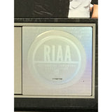Linkin Park Hybrid Theory RIAA Platinum LP Award - Record Award
