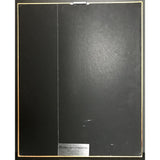 Lita Ford self-titled RIAA Platinum Album Award