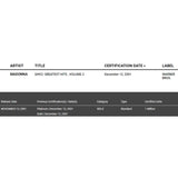 Madonna GH V2 RIAA Platinum Album Award - Record Award
