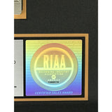 Marcy Playground debut RIAA Platinum Album Award - Record Award