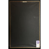 Mariah Carey Music Box RIAA 7x Multi-Platinum Album Award - Record Award