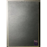 Mariah Carey Rainbow RIAA 3x Platinum Award