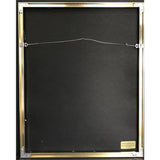 Mazzy Star So Tonight That I Might See RIAA Gold Album Award - Record Award