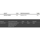 Meghan Trainor All About That Bass etc. RIAA Multi-Platinum Album/Singles Award - Record Award