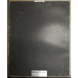 Mötley Crüe Too Fast For Love RIAA Platinum LP Award - Record Award