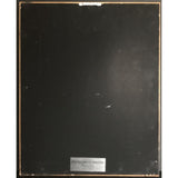 Mr. Mister Welcome To The Real World RIAA Platinum Album Award - Record Award