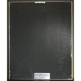 Neil Young Comes A Time RIAA Platinum Album Award - Record Award