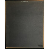 New Kids On The Block Hangin’ Tough RIAA Platinum LP Award presented to NKOTB - RARE - Record Award