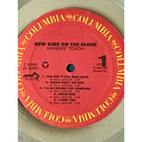 New Kids On The Block Hangin’ Tough RIAA Platinum LP Award presented to NKOTB - RARE - Record Award