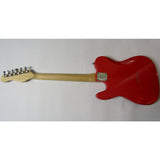 Nirvana Krist Novoselic Autographed Guitar W/jsa Coa