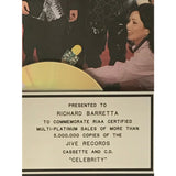 NSYNC Celebrity RIAA 5x Multi-Platinum Award - Record Award