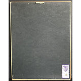 Ozzy Osbourne Ozzmosis RIAA Platinum Album Award - Record Award