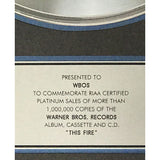 Paula Cole This Fire RIAA Platinum Album Award - Record Award