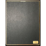 Pearl Jam Ten RIAA 3x Platinum Album Award - Record Award