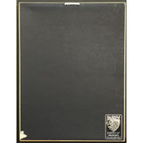Phish A Live One RIAA Platinum Album Award - Record Award