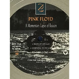 Pink Floyd A Momentary Lapse Of Reason Label Platinum Award - Record Award