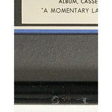 Pink Floyd A Momentary Lapse Of Reason Label Platinum Award - Record Award